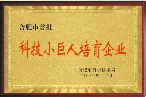 ����ʡ�Ƽ�С����������I(y��)